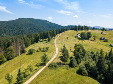 Güneşli bir yaz sabahında Ukrayna Karpatlarının yeşil dağları. Dağ yamaçlarında kozalaklı ağaçlar ve yeşil çimenler. Dağ yamacındaki toprak yol. Hava aracı görünümü.