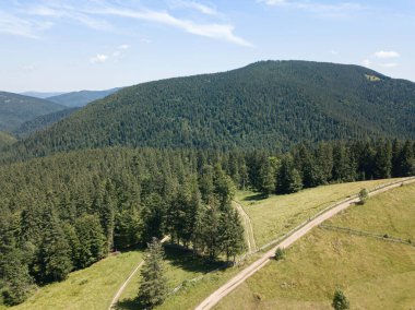 Güneşli bir yaz sabahında Ukrayna Karpatlarının yeşil dağları. Dağ yamaçlarında kozalaklı ağaçlar ve yeşil çimenler. Dağ yamacındaki toprak yol. Hava aracı görünümü.