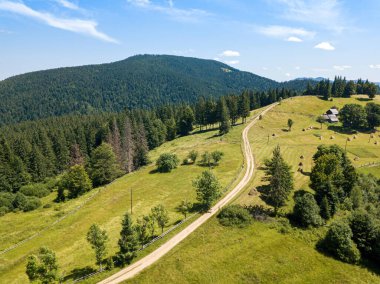 Güneşli bir yaz sabahında Ukrayna Karpatlarının yeşil dağları. Dağ yamaçlarında kozalaklı ağaçlar ve yeşil çimenler. Dağ yamacındaki toprak yol. Hava aracı görünümü.