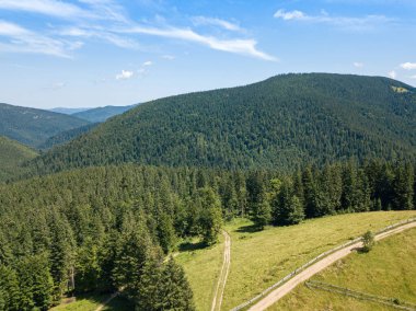 Güneşli bir yaz sabahında Ukrayna Karpatlarının yeşil dağları. Dağ yamaçlarında kozalaklı ağaçlar ve yeşil çimenler. Dağ yamacındaki toprak yol. Hava aracı görünümü.