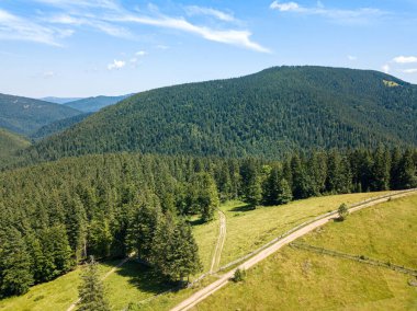 Güneşli bir yaz sabahında Ukrayna Karpatlarının yeşil dağları. Dağ yamaçlarında kozalaklı ağaçlar ve yeşil çimenler. Dağ yamacındaki toprak yol. Hava aracı görünümü.