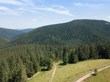 Güneşli bir yaz sabahında Ukrayna Karpatlarının yeşil dağları. Dağ yamaçlarında kozalaklı ağaçlar ve yeşil çimenler. Hava aracı görünümü.