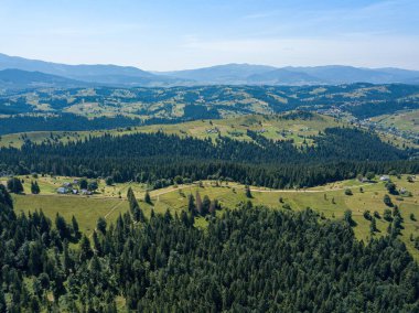 Güneşli bir yaz sabahında Ukrayna Karpatlarının yeşil dağları. Dağ yamaçlarında kozalaklı ağaçlar ve yeşil çimenler. Hava aracı görünümü.