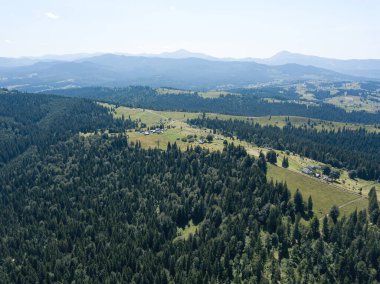 Güneşli bir yaz sabahında Ukrayna Karpatlarının yeşil dağları. Dağ yamaçlarında kozalaklı ağaçlar ve yeşil çimenler. Hava aracı görünümü.