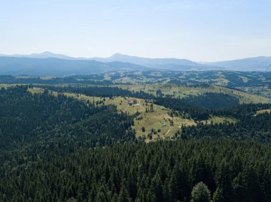 Güneşli bir yaz sabahında Ukrayna Karpatlarının yeşil dağları. Dağ yamaçlarında kozalaklı ağaçlar ve yeşil çimenler. Hava aracı görünümü.