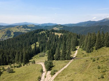 Güneşli bir yaz sabahında Ukrayna Karpatlarının yeşil dağları. Dağ yamaçlarında kozalaklı ağaçlar ve yeşil çimenler. Dağ yamacındaki toprak yol. Hava aracı görünümü.