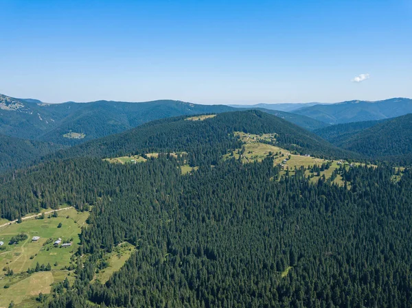 晴れた夏の朝にウクライナのカルパティアの緑の山々 山の斜面や緑の芝生の上で針葉樹の木 空中ドローンビュー — ストック写真