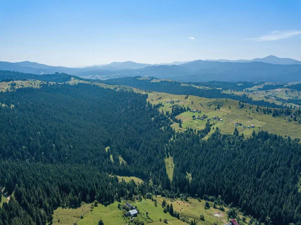 Grüne Berge Der Ukrainischen Karpaten Einem Sonnigen Sommermorgen Nadelbäume Den — Stockfoto