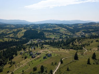 Güneşli bir yaz sabahında Ukrayna Karpatlarının yeşil dağları. Dağ yamaçlarında kozalaklı ağaçlar ve yeşil çimenler. Hava aracı görünümü.