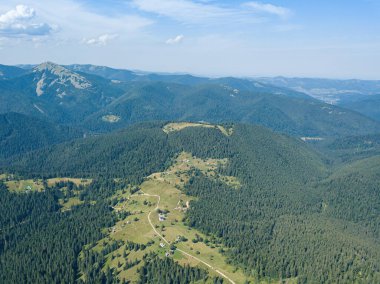 Güneşli bir yaz sabahında Ukrayna Karpatlarının yeşil dağları. Dağ yamaçlarında kozalaklı ağaçlar ve yeşil çimenler. Hava aracı görünümü.