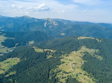 Güneşli bir yaz sabahında Ukrayna Karpatlarının yeşil dağları. Dağ yamaçlarında kozalaklı ağaçlar ve yeşil çimenler. Hava aracı görünümü.