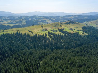 Güneşli bir yaz sabahında Ukrayna Karpatlarının yeşil dağları. Dağ yamaçlarında kozalaklı ağaçlar ve yeşil çimenler. Hava aracı görünümü.