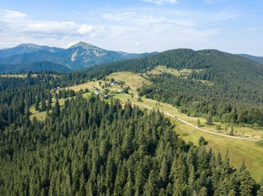 Güneşli bir yaz sabahında Ukrayna Karpatlarının yeşil dağları. Dağ yamaçlarında kozalaklı ağaçlar ve yeşil çimenler. Hava aracı görünümü.