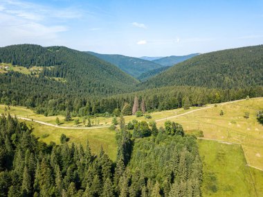 Güneşli bir yaz sabahında Ukrayna Karpatlarının yeşil dağları. Dağ yamaçlarında kozalaklı ağaçlar ve yeşil çimenler. Hava aracı görünümü.