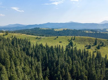 Güneşli bir yaz sabahında Ukrayna Karpatlarının yeşil dağları. Dağ yamaçlarında kozalaklı ağaçlar ve yeşil çimenler. Hava aracı görünümü.
