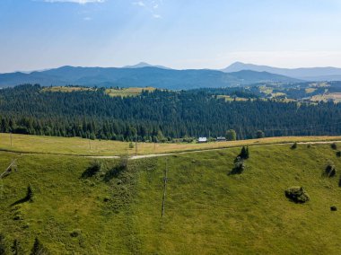 Güneşli bir yaz sabahında Ukrayna Karpatlarının yeşil dağları. Dağ yamaçlarında kozalaklı ağaçlar ve yeşil çimenler. Hava aracı görünümü.
