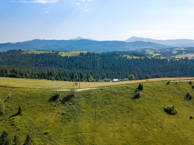 Güneşli bir yaz sabahında Ukrayna Karpatlarının yeşil dağları. Dağ yamaçlarında kozalaklı ağaçlar ve yeşil çimenler. Hava aracı görünümü.