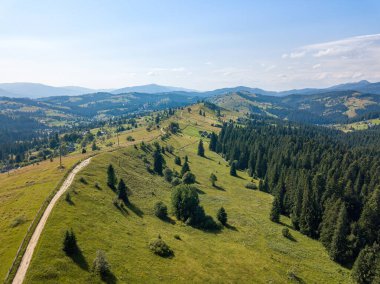 Güneşli bir yaz sabahında Ukrayna Karpatlarının yeşil dağları. Dağ yamaçlarında kozalaklı ağaçlar ve yeşil çimenler. Hava aracı görünümü.