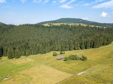 Güneşli bir yaz sabahında Ukrayna Karpatlarının yeşil dağları. Dağ yamaçlarında kozalaklı ağaçlar ve yeşil çimenler. Hava aracı görünümü.