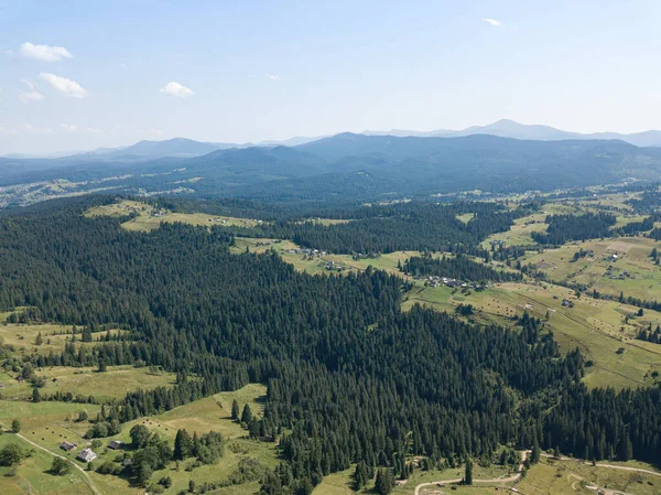 Montañas Verdes Los Cárpatos Ucranianos Una Soleada Mañana Verano Árboles — Foto de Stock