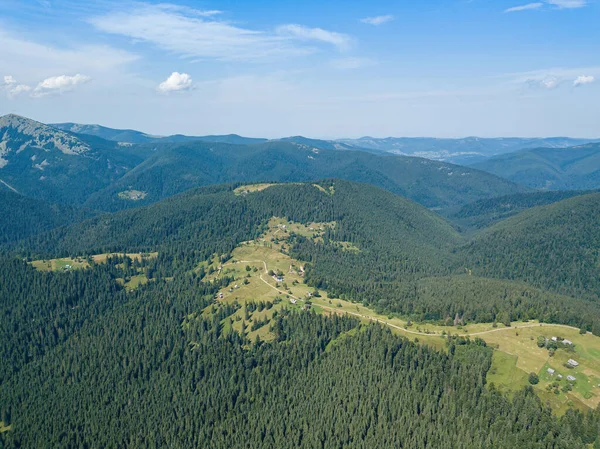 Zelené Hory Ukrajinských Karpat Slunečného Letního Rána Jehličnaté Stromy Svazích — Stock fotografie