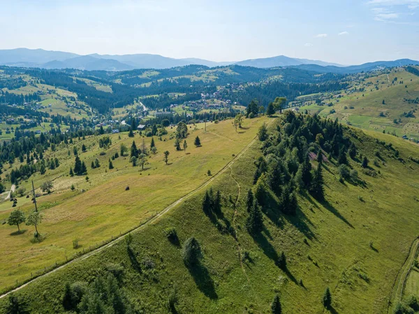 Zielone Góry Ukraińskich Karpat Słoneczny Letni Poranek Drzewa Iglaste Zboczach — Zdjęcie stockowe