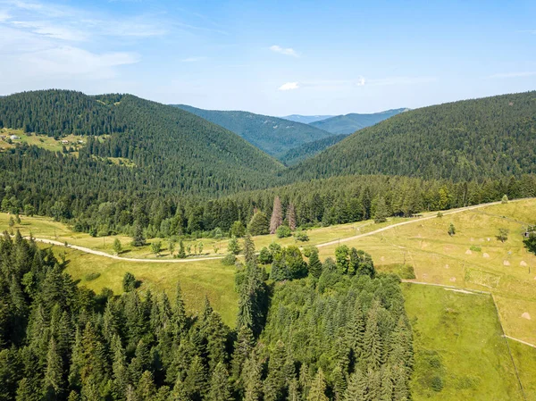 Groene Bergen Van Oekraïense Karpaten Een Zonnige Zomerochtend Naaldbomen Berghellingen — Stockfoto