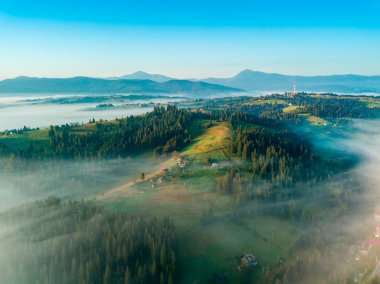 Şafak vakti ince bir sis tabakası tepenin üzerinde yüzer. Firavun ağaçları yamaçta yetişir. Sabah Ukraynalı Karpatlar. Hava aracı görünümü.