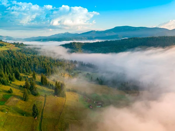 Dünner Morgennebel Bedeckt Die Ukrainischen Berge Grünes Gras Den Hängen — Stockfoto