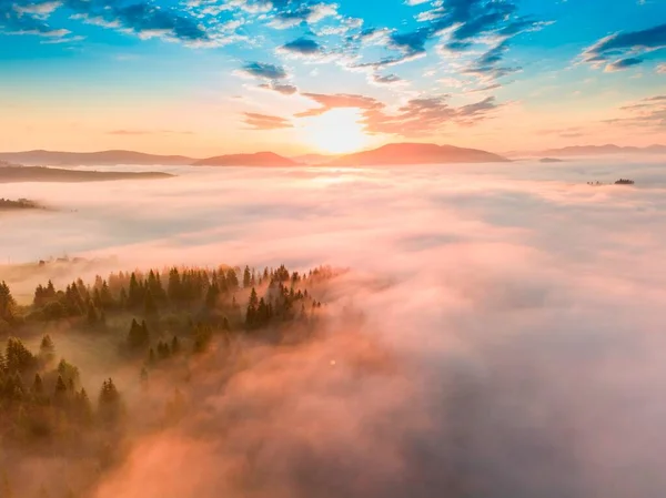 Рассвете Над Горами Распространяется Туман Солнце Встает Горизонте Украинские Карпаты — стоковое фото