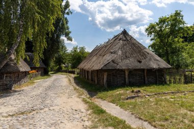 Güneşli bir günde geleneksel sazdan çatı evleri olan köy.