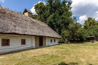 Yaz kırsalında sazdan çatılı geleneksel kır evi