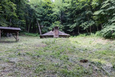 Yazın ormandaki eski ahşap kulübe temizleniyor.