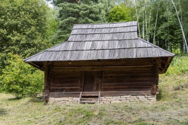 Orman ortamında kiremitli ahşap kulübe