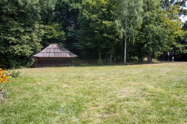 Yeşil ormandaki kır kulübesi yaz boyunca temizleniyor.