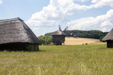 Geleneksel ahşap yel değirmenleri ve sazdan kulübeler bir yaz tarlasında
