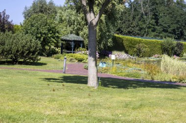 Çardağı ve yeşil çimenliği olan güneşli park bahçesi