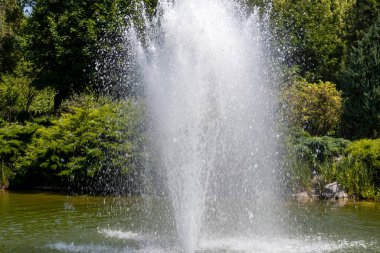 Çeşme yemyeşil bir parkta büyük bir çeşme fışkırıyor.