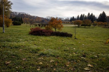 Şehir parkında bulutlu gökyüzü ile sonbahar manzarası