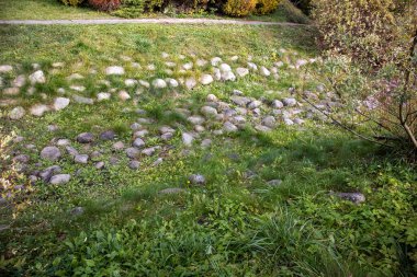 Parkta çimleri ve çalıları olan bir hendek.