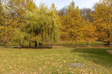 Göletli ve sarı ağaçlı sonbahar parkı