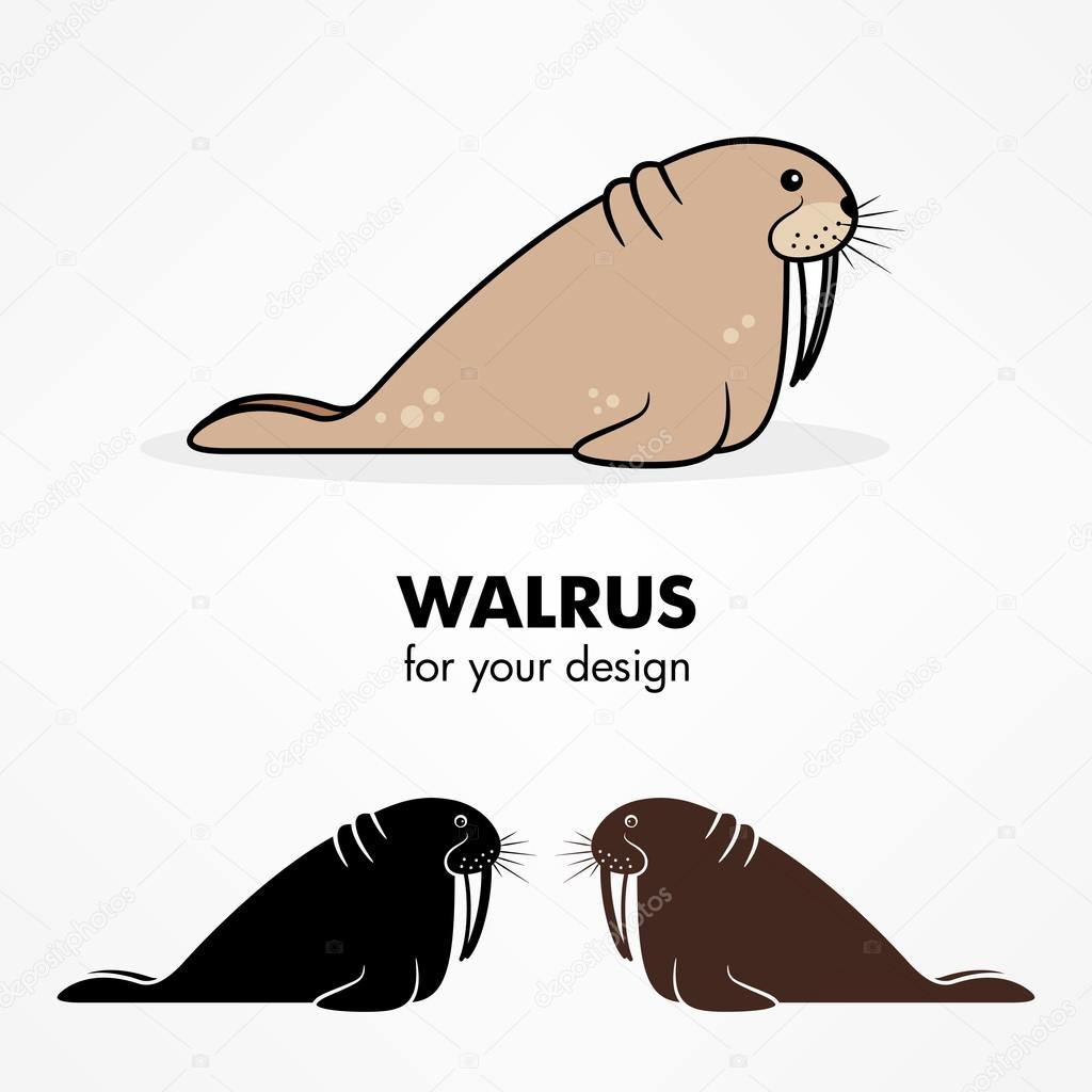 Cartoon walrus icons set on white background