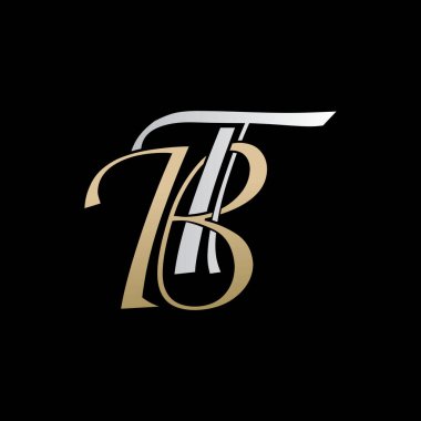 bt logo tasarımı vektör simgesi lüks prim