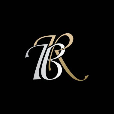 br logo tasarım vektör simgesi lüks prim