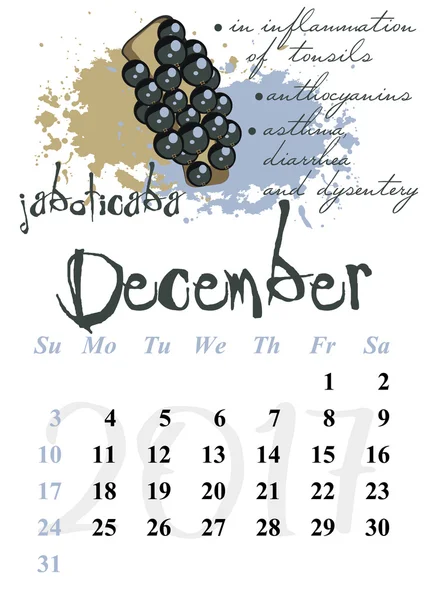 Cuadrícula del calendario para 2017. Propiedades útiles de las frutas. Diciembre — Vector de stock