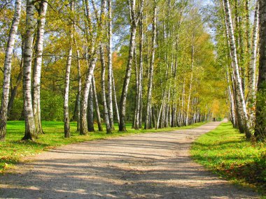 sonbahar preshpect, yasnaya polyana, tula, Rusya Federasyonu