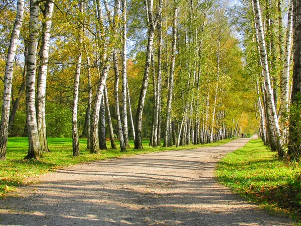 Herfst preshpect, Jasnaja Poljana, tula, Rusland — Stockfoto