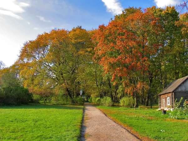 Осінній пейзаж у світлий сонячний день — стокове фото