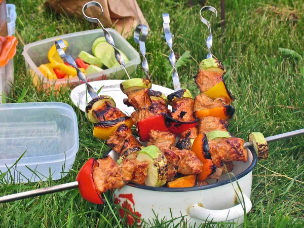 Shish kebab with grilled vegetables on skewers — Stock Photo, Image