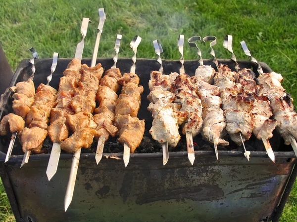 Shish kebab op een brazier — Stockfoto